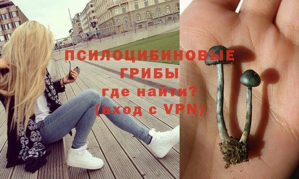 герыч Алексин